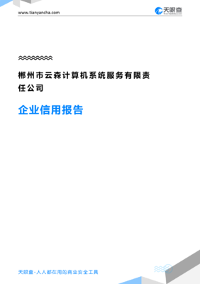 郴州市云森计算机系统服务有限责任公司(企业信用报告)- 天眼查
